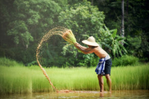 petani-2-300x200 Yuk Intip 7 Bisnis Sampingan Paling Cocok Untuk Petani Dengan Modal Kecil Tapi Menjanjikan