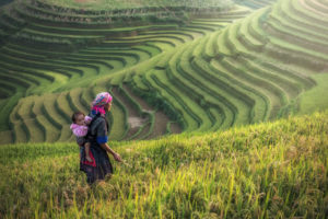 petani-lagi-300x200 Yuk Intip 7 Bisnis Sampingan Paling Cocok Untuk Petani Dengan Modal Kecil Tapi Menjanjikan