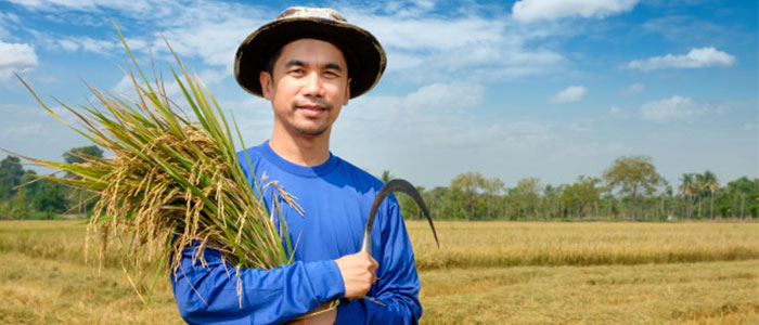 Yuk Intip 7 Bisnis Sampingan Paling Cocok Untuk Petani Dengan Modal Kecil Tapi Menjanjikan