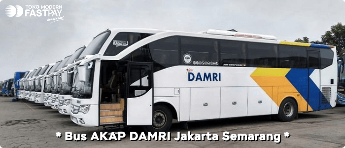 Bus AKAP DAMRI Jakarta - Semarang