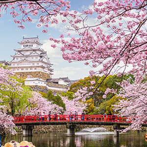 Kapan Waktu Terbaik untuk Mengunjungi Jepang?