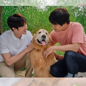 7 Fakta Menarik Film My Puppy
