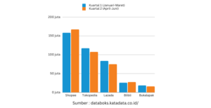 artikel-02-grafik-ecommerce-300x154 Grafik Kunjungan E-Commerce hingga Kuartal II 2023